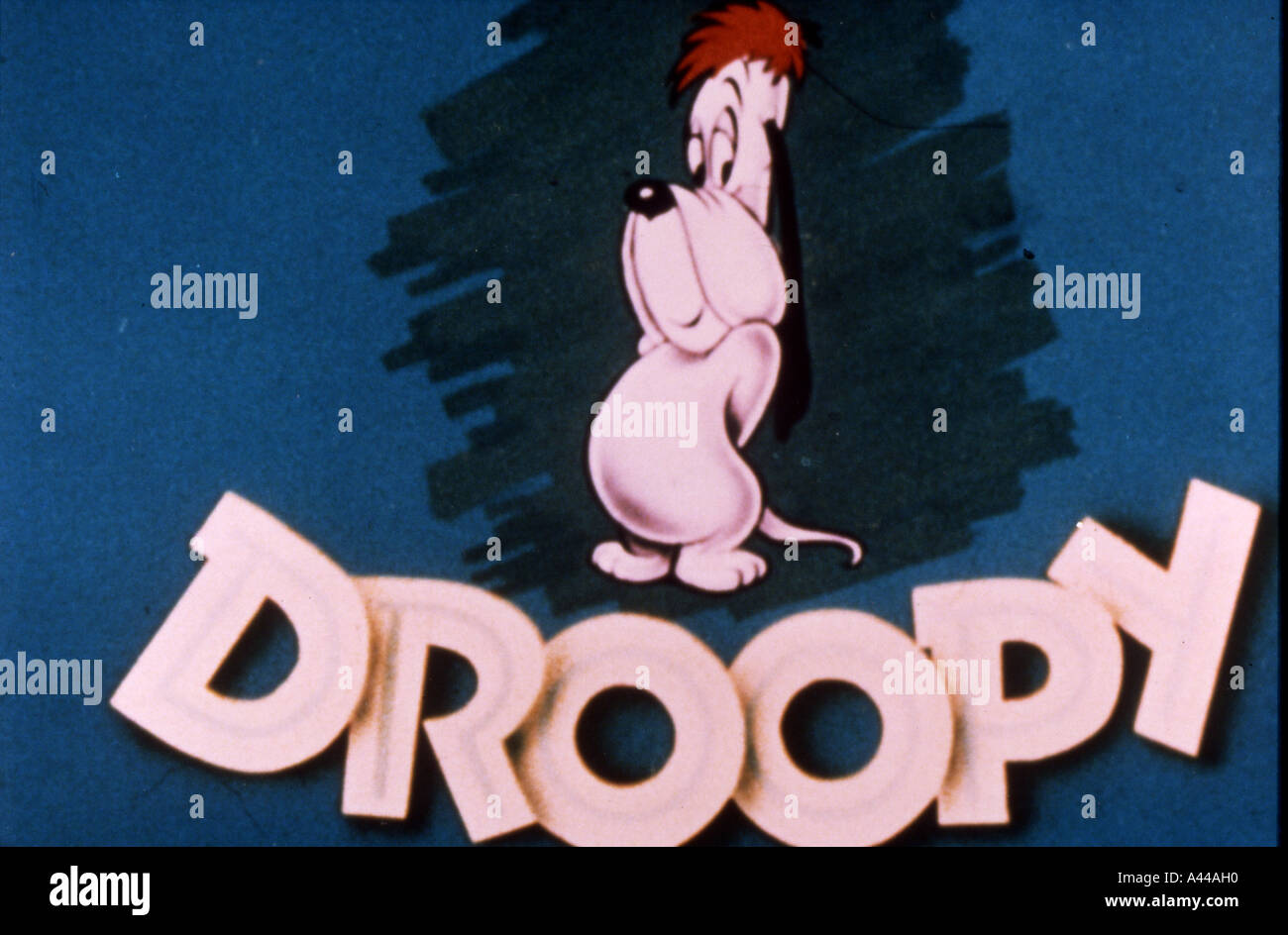 DROOPY Cartoon-Serie von MGM, die zuerst im Jahr 1943 erschienen Stockfoto