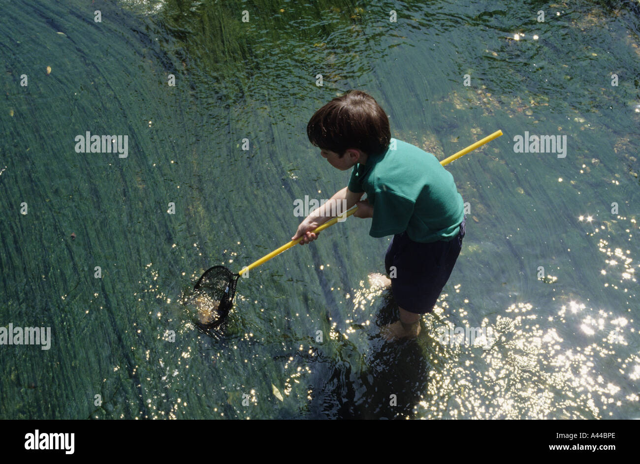 Kleiner Junge mit einem Dip-net in den Fluss Darenth Stockfoto