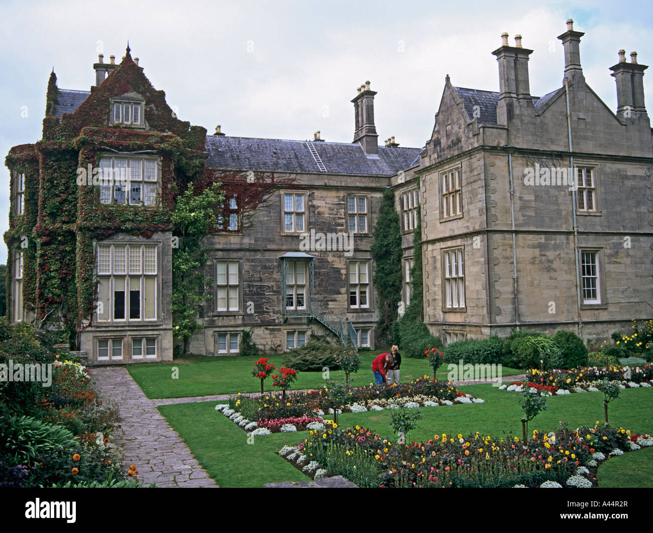 Irland Luxury Homes And Irland Lifestyle Irland Luxury Homes And Irland Lifestyle