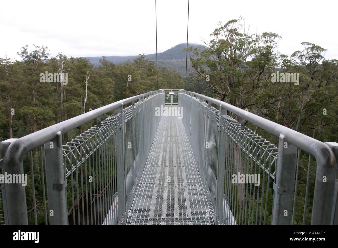 Tahune Air Walk Hartz Mountains Nationalpark Tasmaniens Stockfoto