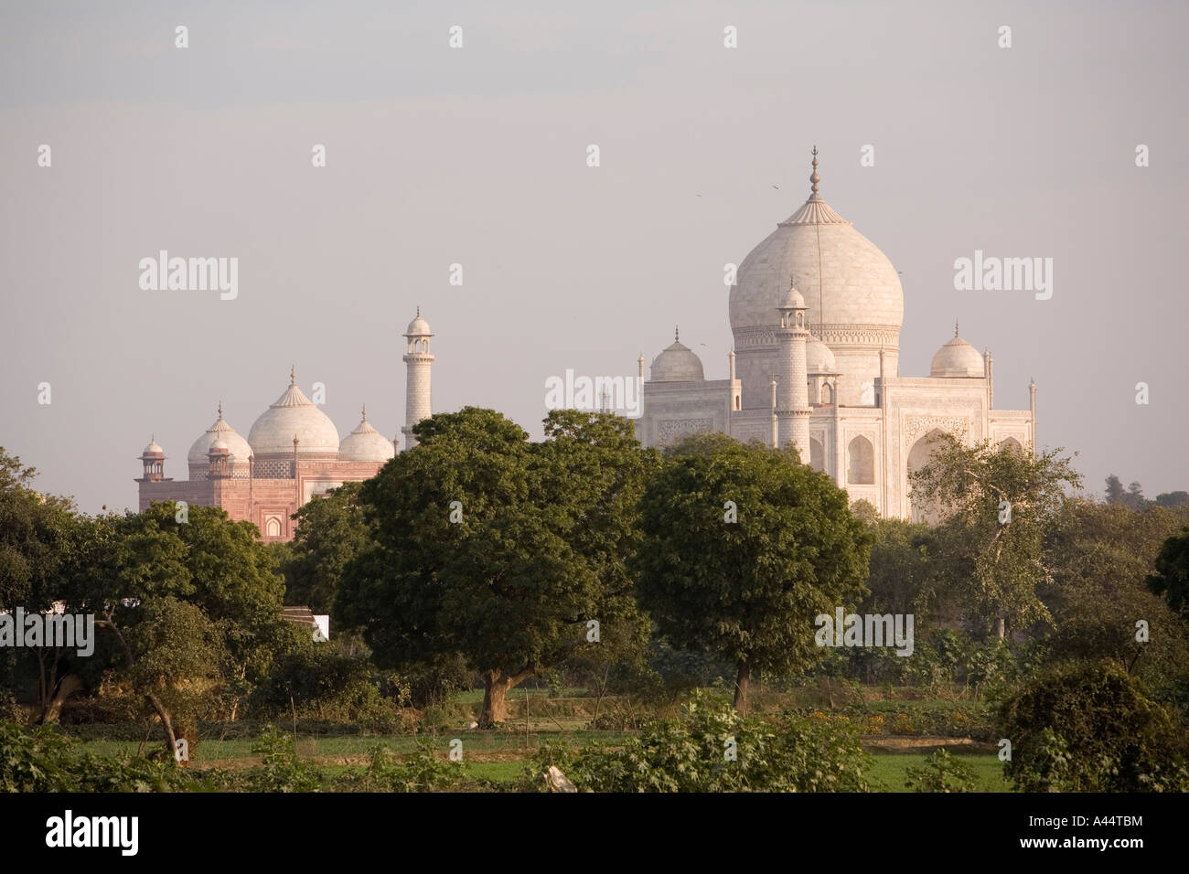 Aus der Ferne betrachtet Indien Uttar Pradesh Agra Taj Mahal über Felder Stockfoto