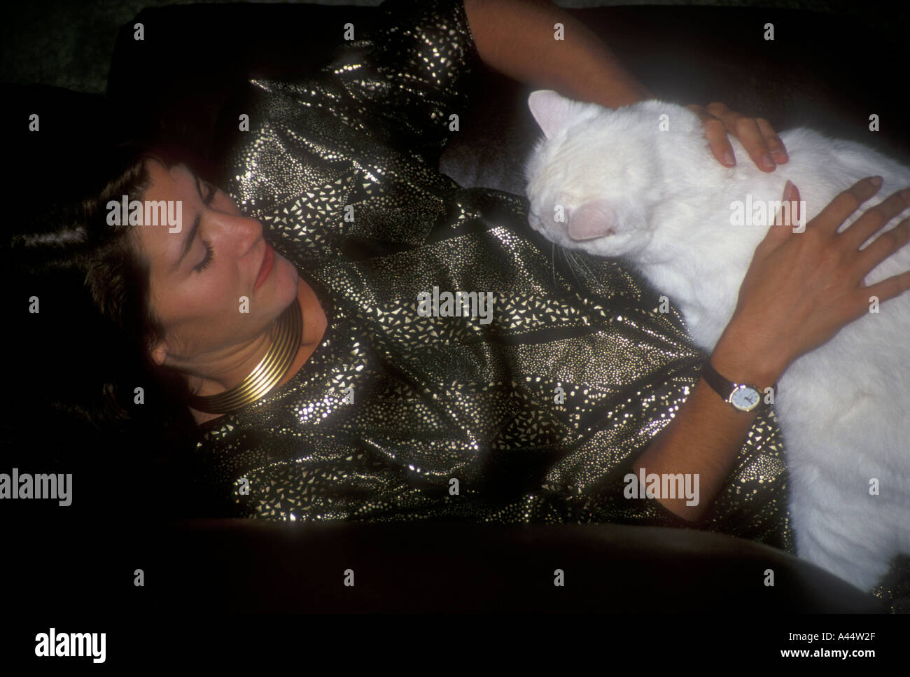 Young Lady Holding White Cat Stockfoto