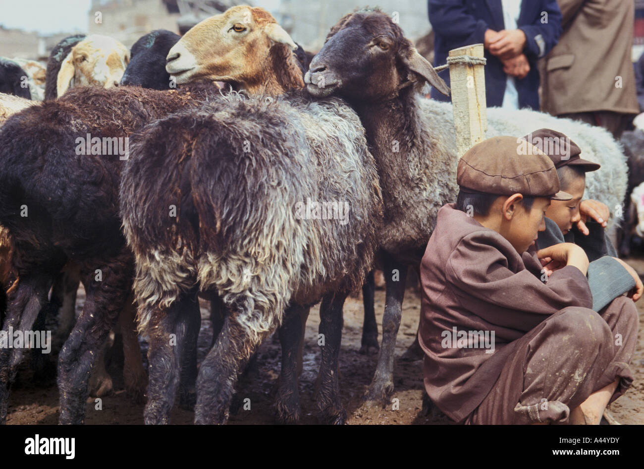 ruht auf dem Markt von Kashgar, West Xinjiang, China Stockfoto
