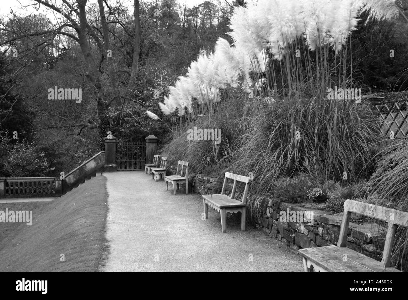 Ilam Hall Grounds, Peak District National Park, Staffordshire, England, UK Stockfoto