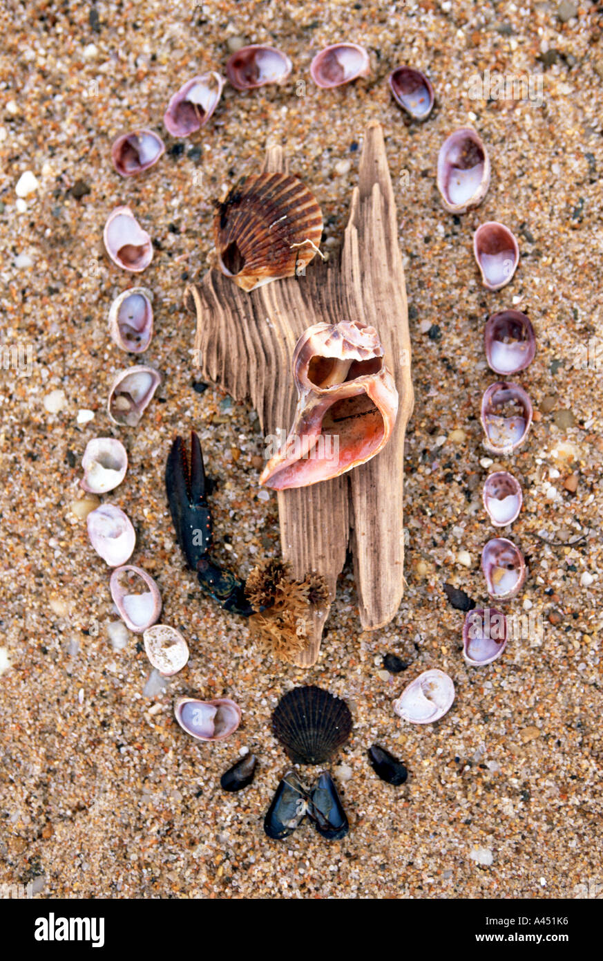 Strand-Bau, Orient Point, NY Stockfoto