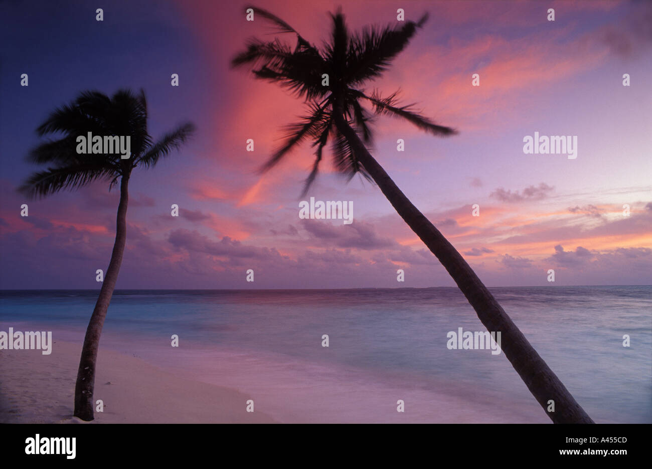 Palmen am Strand bei Sonnenaufgang Kuda Bandos Maldives Stockfoto