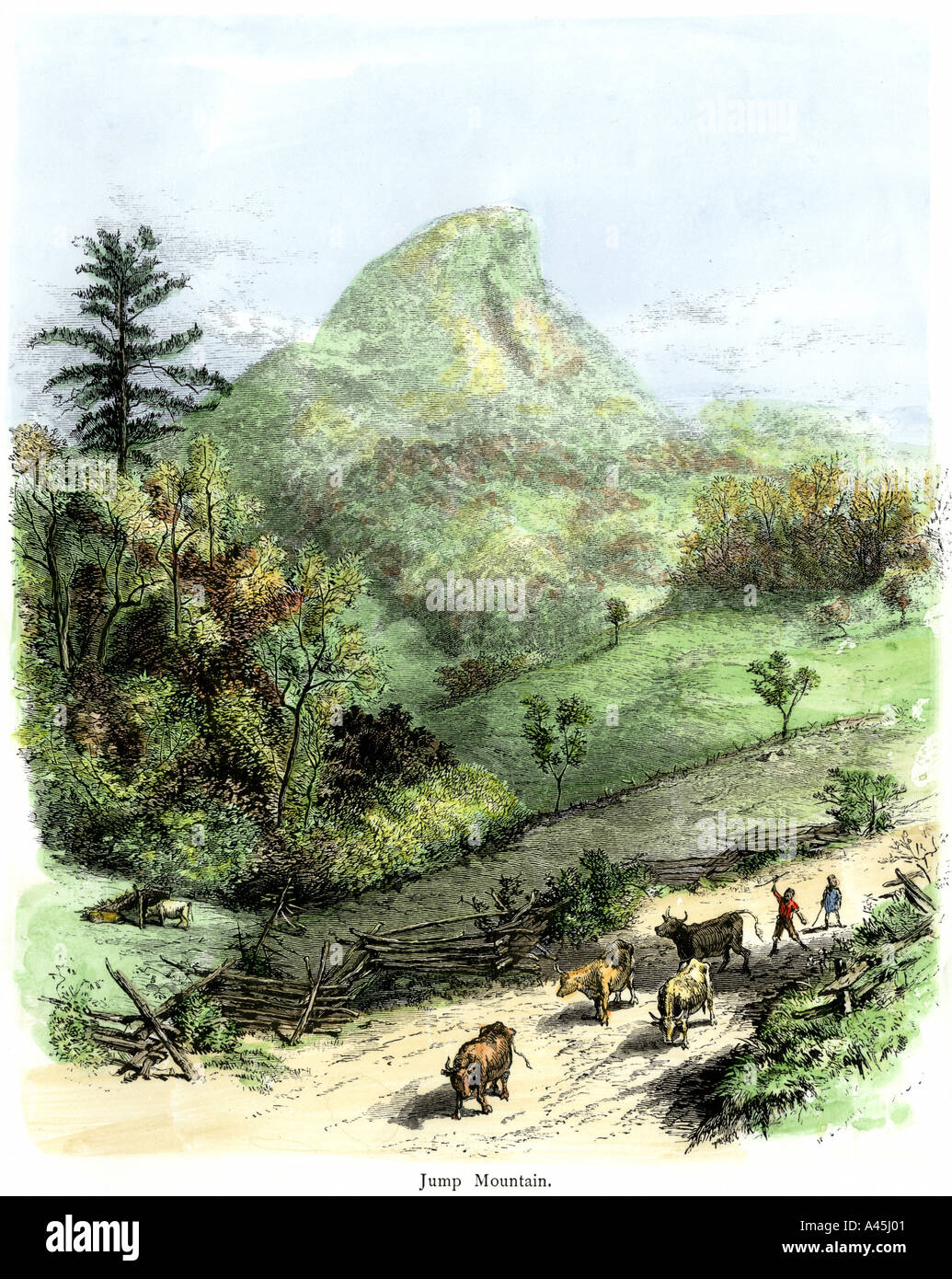 Pioneer Kinder, die ihre Kühe nach Hause südlichen Appalachians. Hand - farbige Holzschnitt Stockfoto