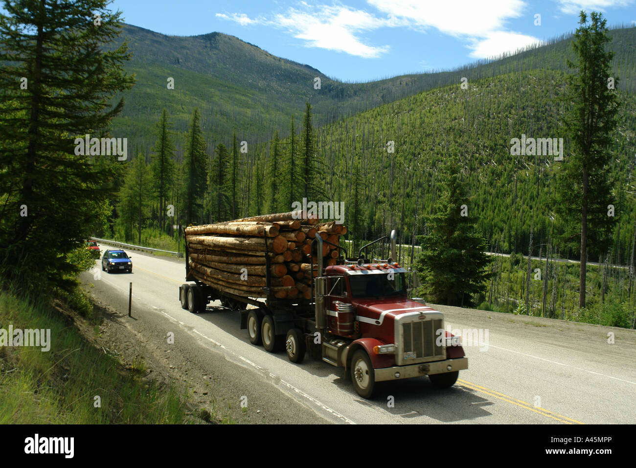 AJD55826, Colville National Forest, WA, Washington, Route 20, Sherman Pass Scenic Byway, 1988 Wildfire, am weißen Berg Stockfoto