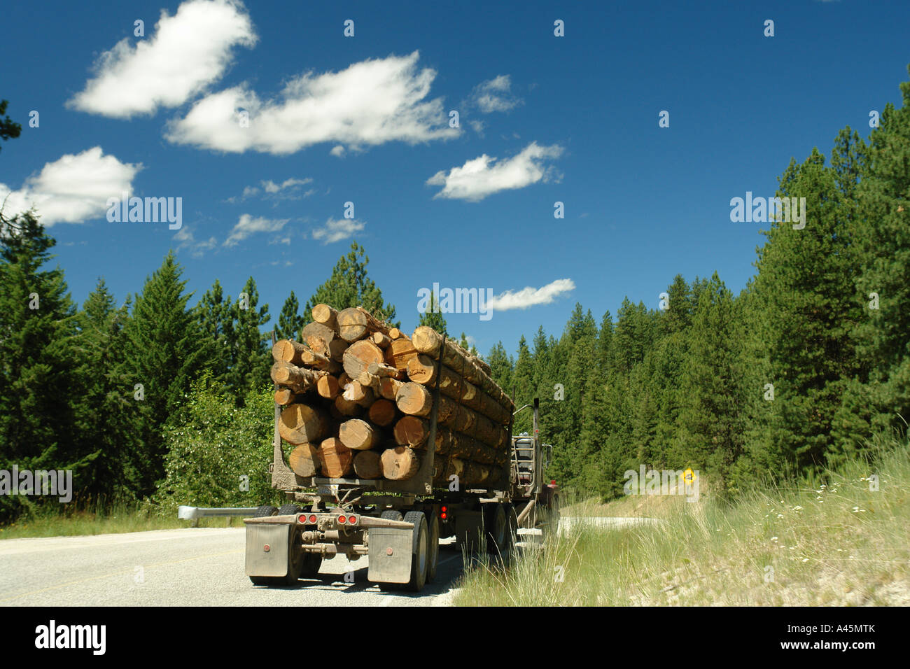 Colville Indian Reservation, WA, Washington, Logging Truck, AJD55847, Straße Stockfoto