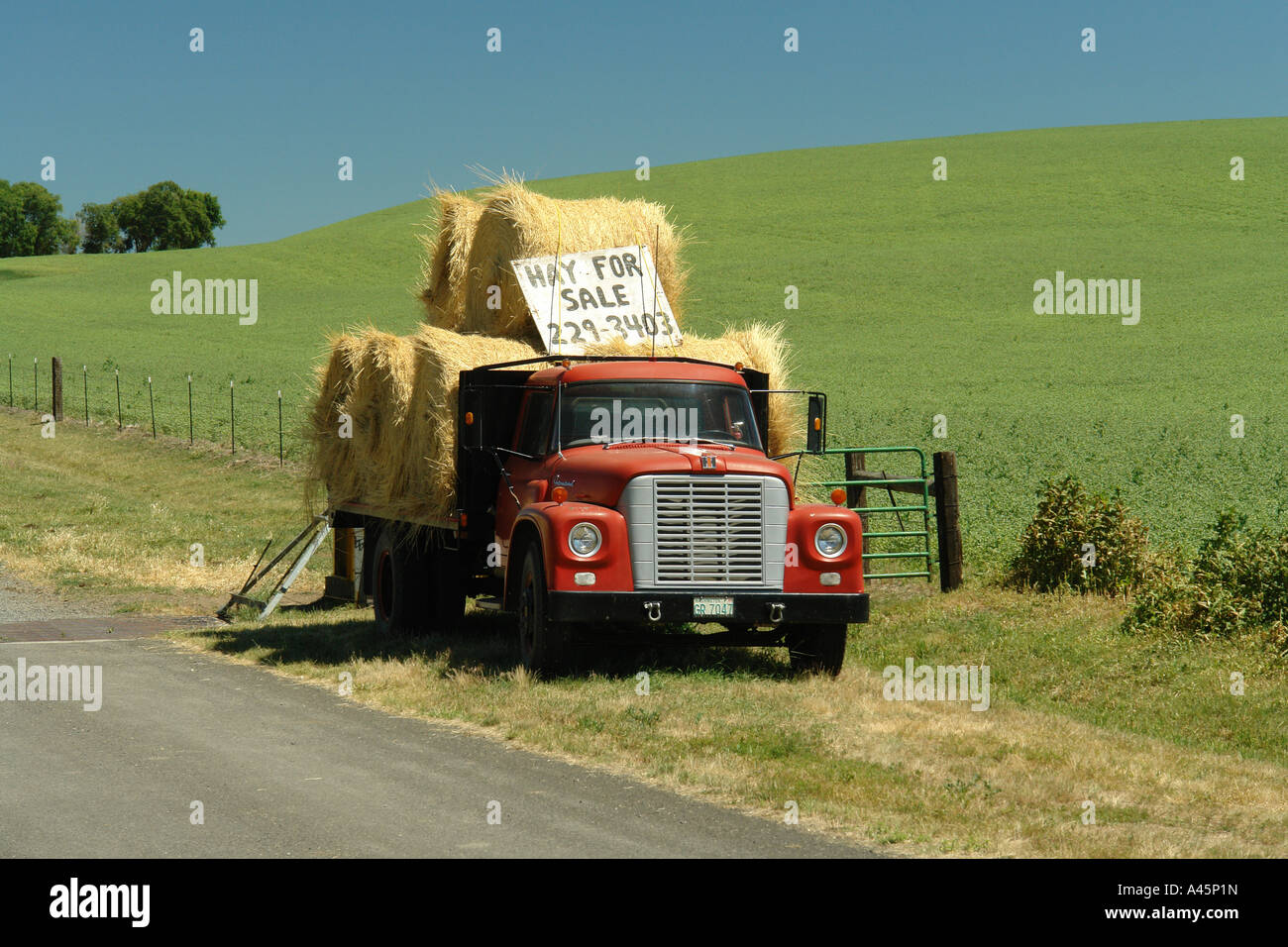 Uniontown, The Palouse Land, WA, Washington, AJD56110, Whitman County, roten Lieferwagen, Heu zu verkaufen Stockfoto