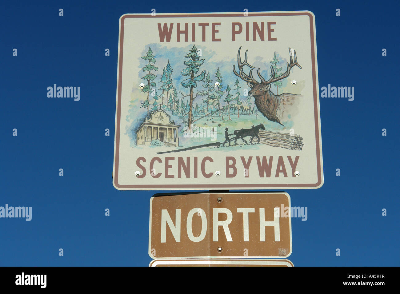 AJD56239, ID, Idaho, Weymouthskiefer Scenic Byway, Straßenschild Stockfoto