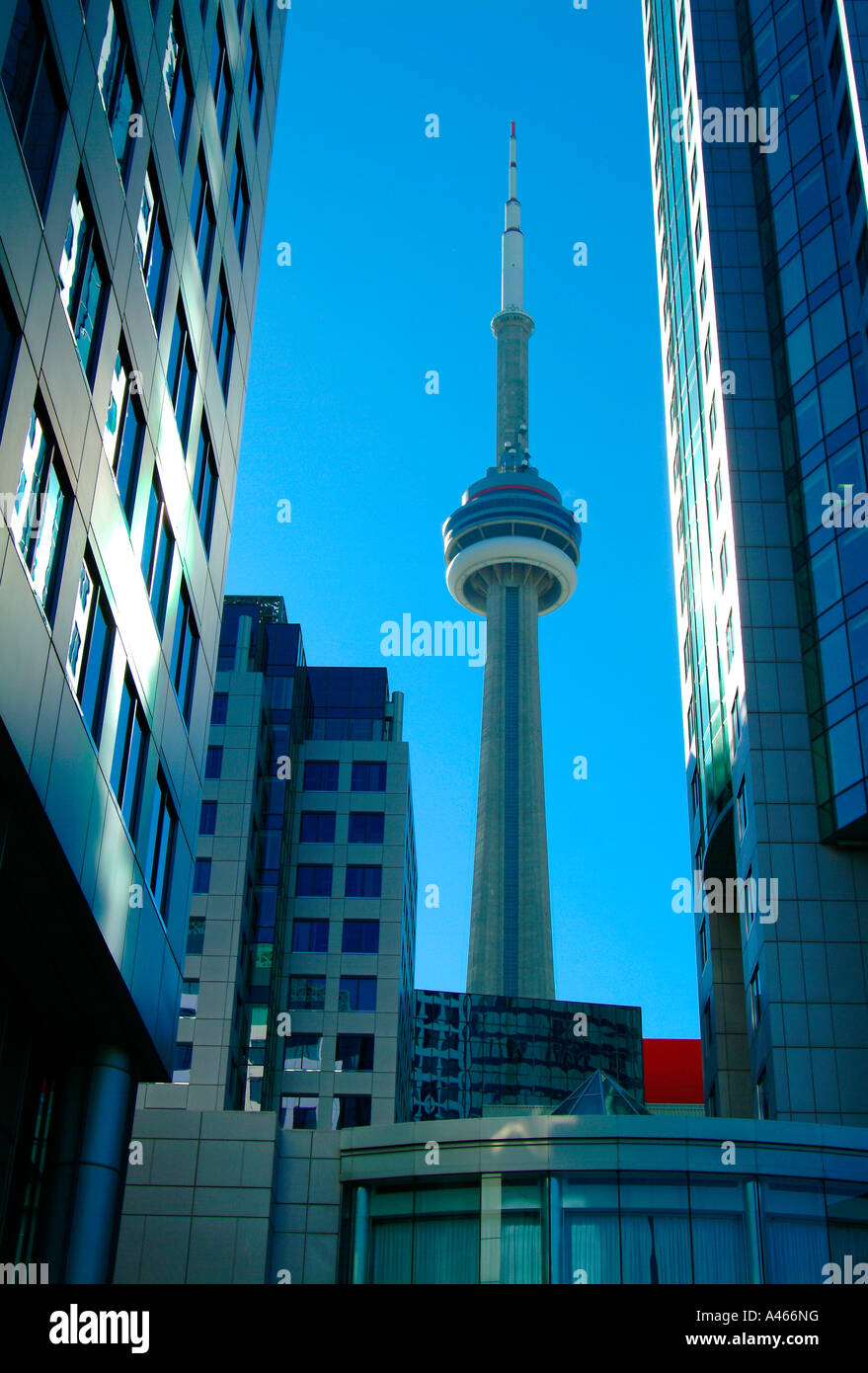 Kanadische Städte, CN Tower, im Stadtzentrum von Toronto, Kanada. Stockfoto