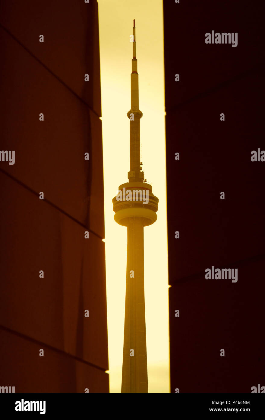 Kanadische Städte, CN Tower, Toronto Kanada Stockfoto