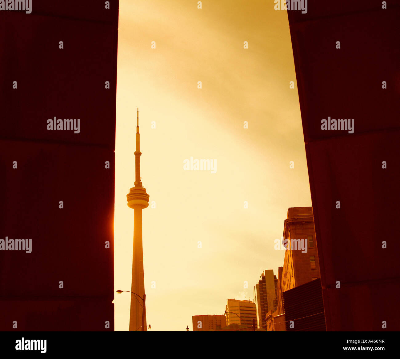 Kanadische Wahrzeichen CN Tower in Toronto Kanada. Stockfoto