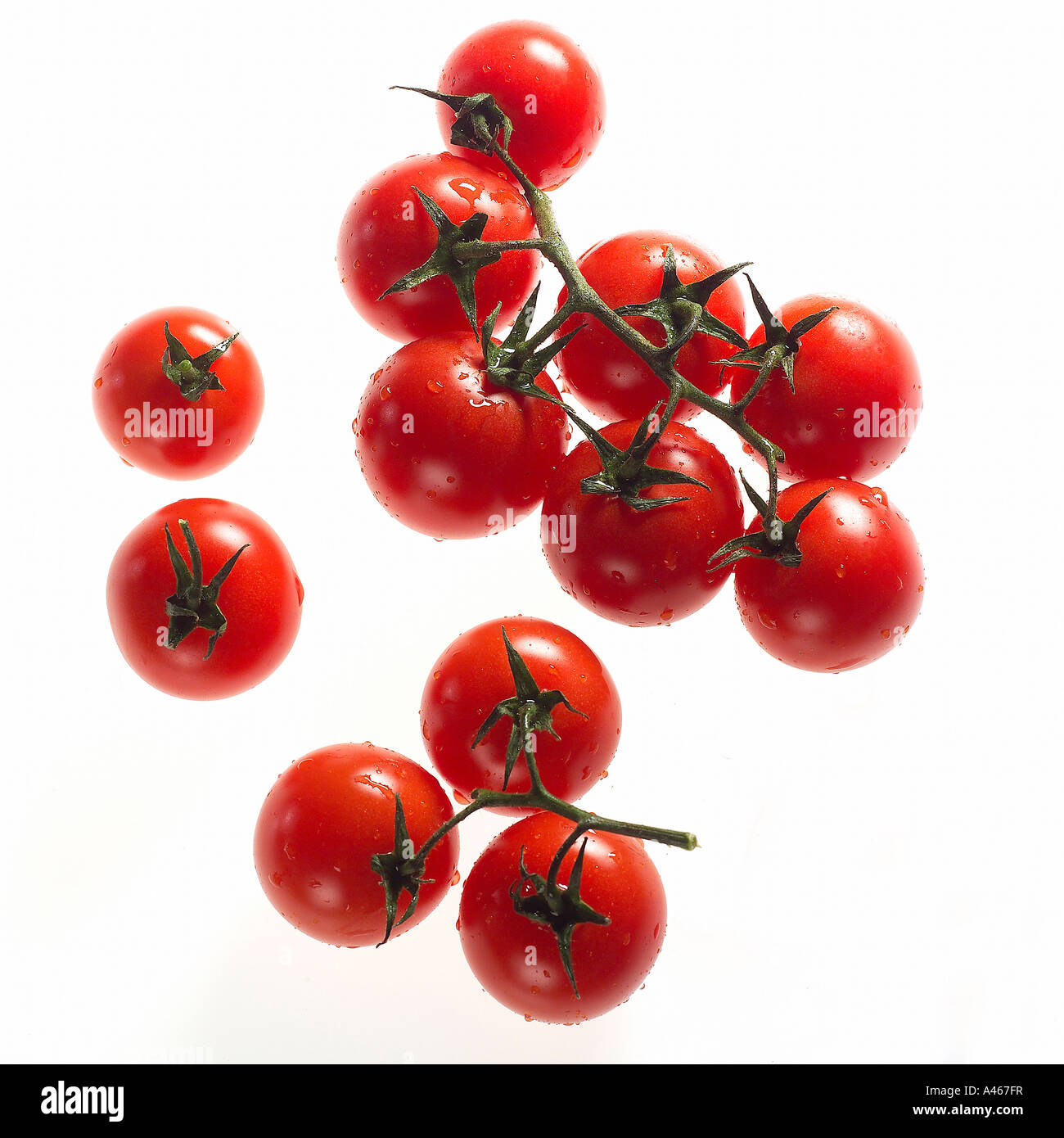 Tomaten auf einem weißen Hintergrund Stockfoto