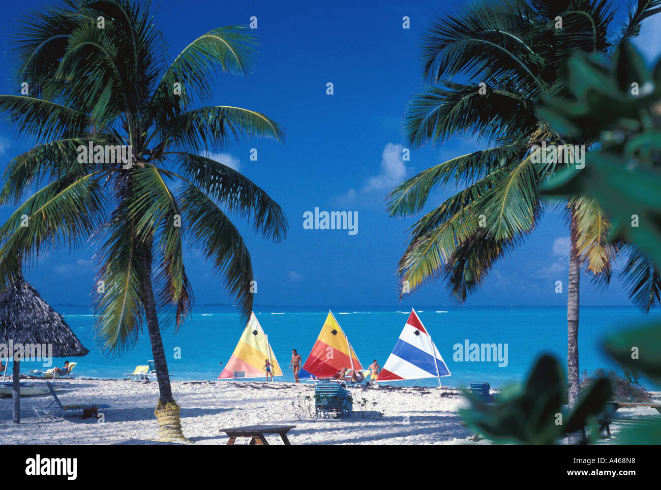 Bahamas Abaco Strand Segelboote Palmen Stockfoto
