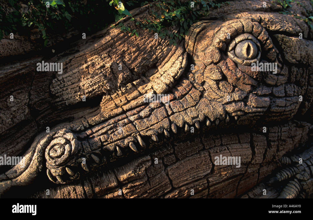 Disney World Animal Kingdom Lebensbaum Alligator Detail Stockfoto