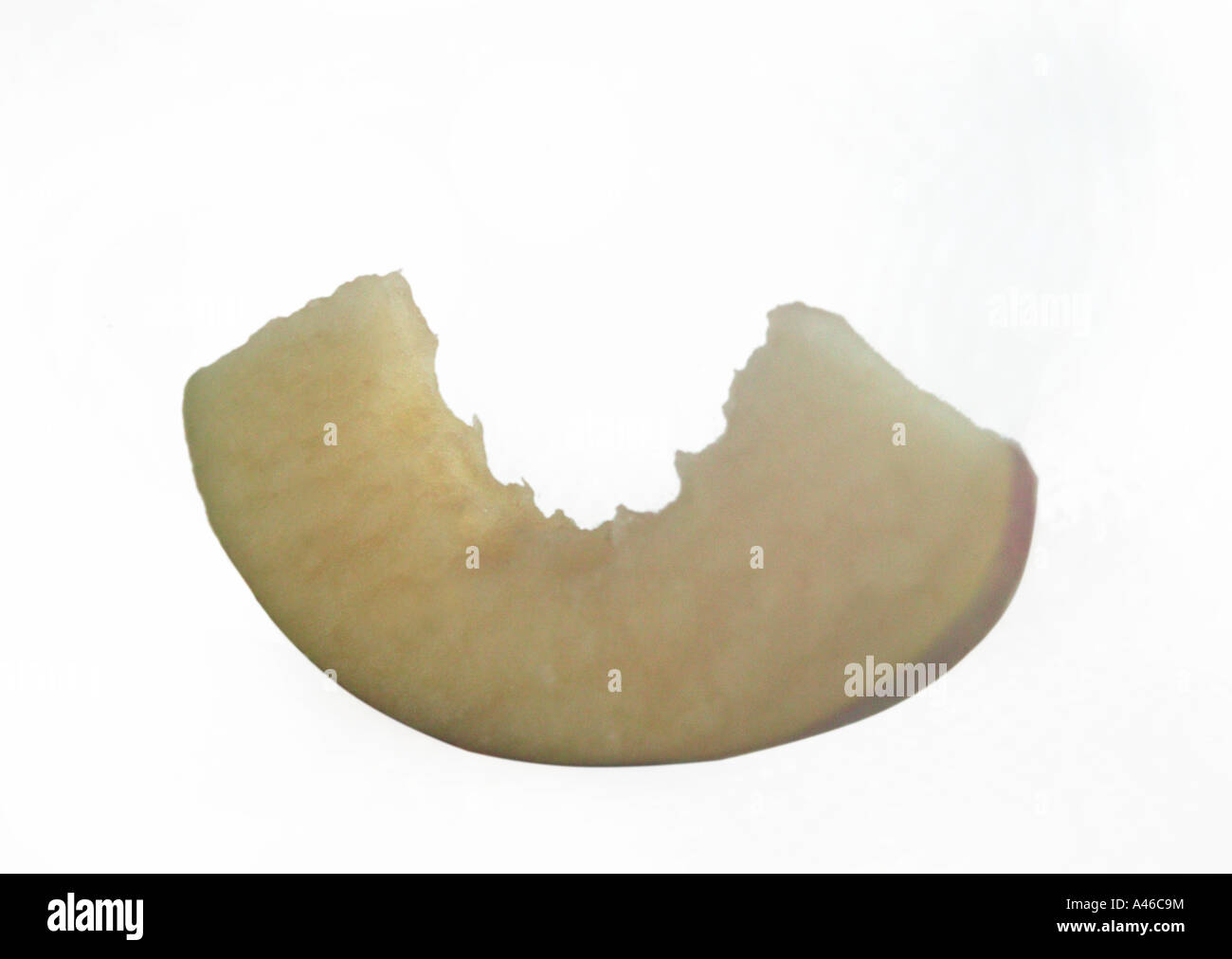 Scheibe der Apfelfrucht auf weißer Hintergrund mit Zähnen oder beißen Mark in Fleisch Konzepte für eine gesunde Ernährung Stockfoto