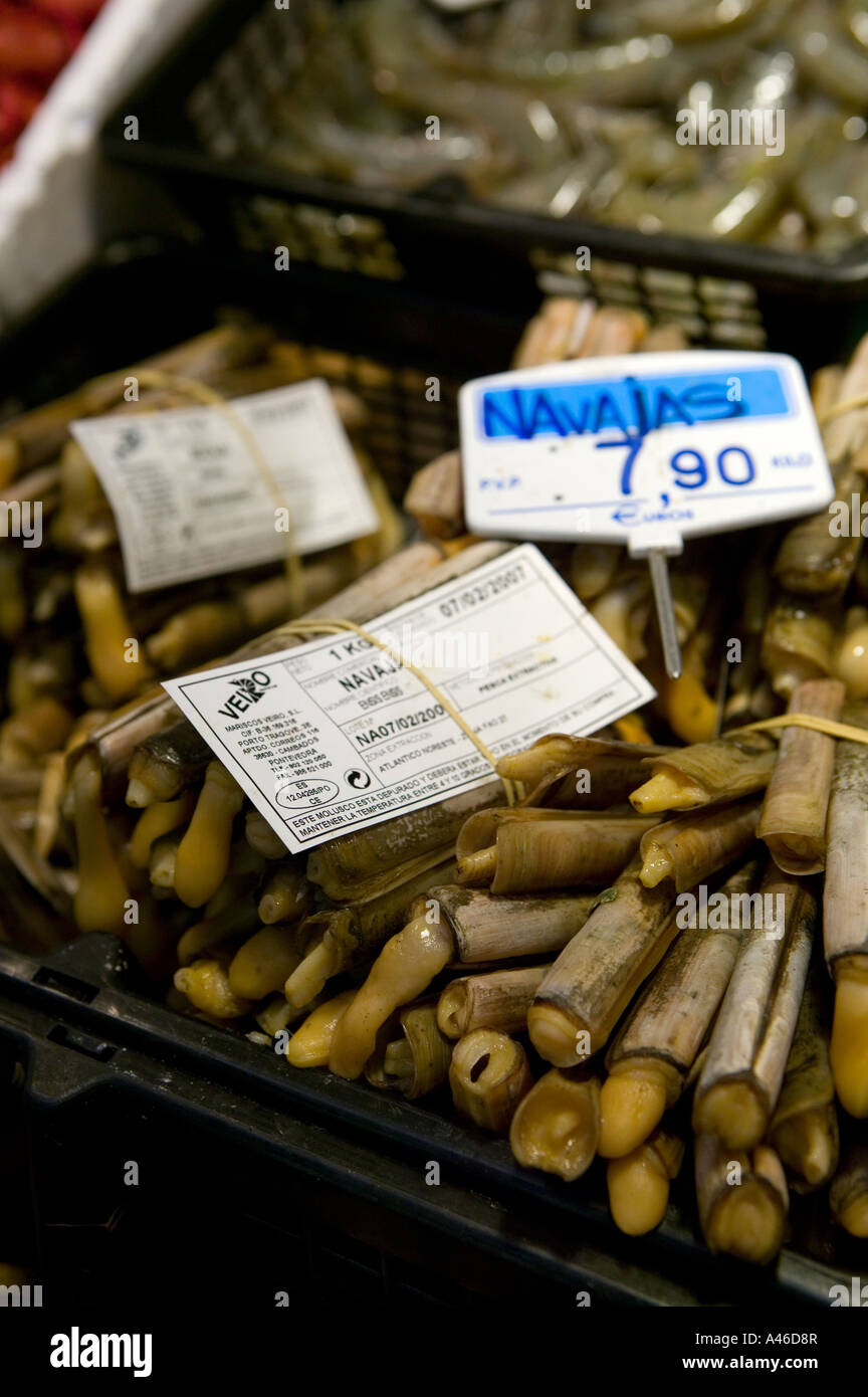 Bündel von frischen Messermuscheln (Navajas) in Mercado De La Rivera, Bilbao, Pais Vasco, Baskisches Land, Spanien zu verkaufen. Stockfoto