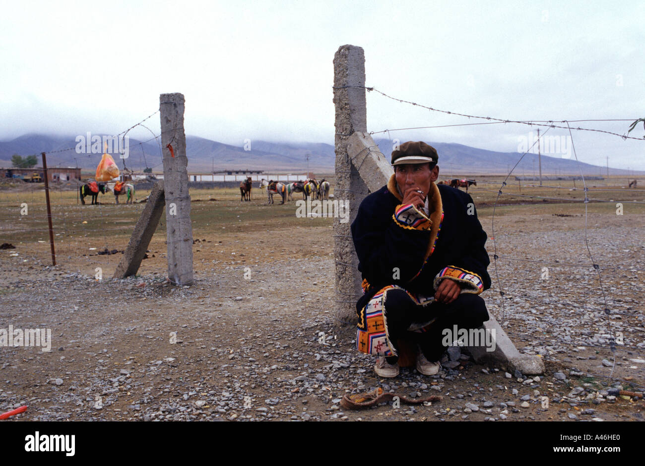 Tibetische Nomaden in Qinghai-See auch bekannt als Koko Nur oder Kukunor in Qinghai Provinz China Stockfoto Tibetische Nomaden in Qinghai-See auch bekannt als Koko Nur oder Kukunor in Qinghai Provinz China Stockfoto
