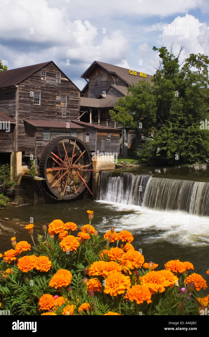 Ringelblumen der alten Grist Mill auf dem Pigeon River Pigeon Forge Tennessee Stockfoto