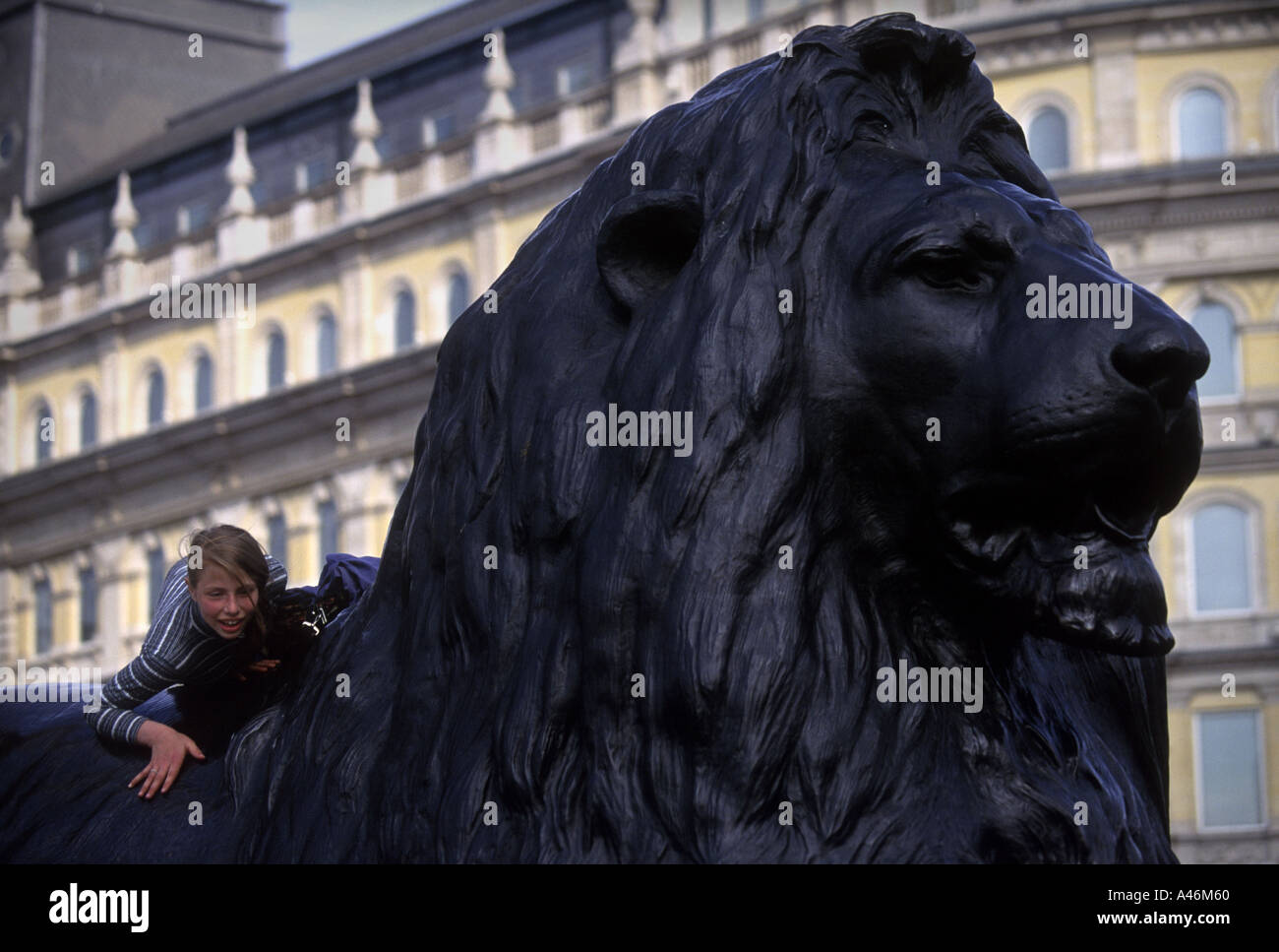 Ein Kind klettert auf ein Löwe Skulptur an der Basis des Nelsons Säule auf dem Trafalgar Square in London Stockfoto