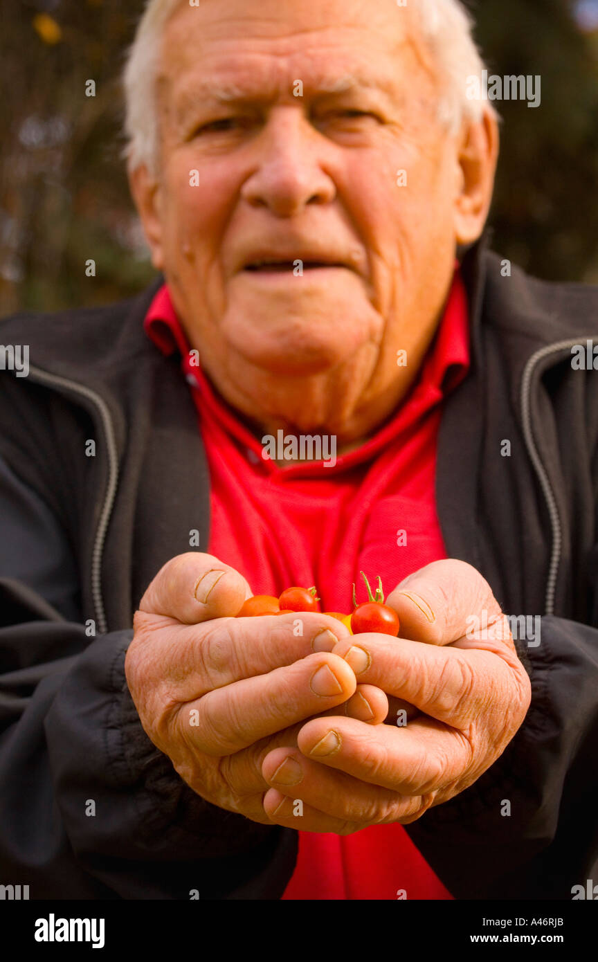 Senior-Holding-Cherry-Tomaten Stockfoto