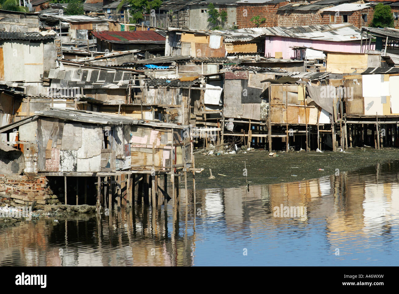 Slum (Favela) in den Mangroven von Recife, Brasilien Stockfoto