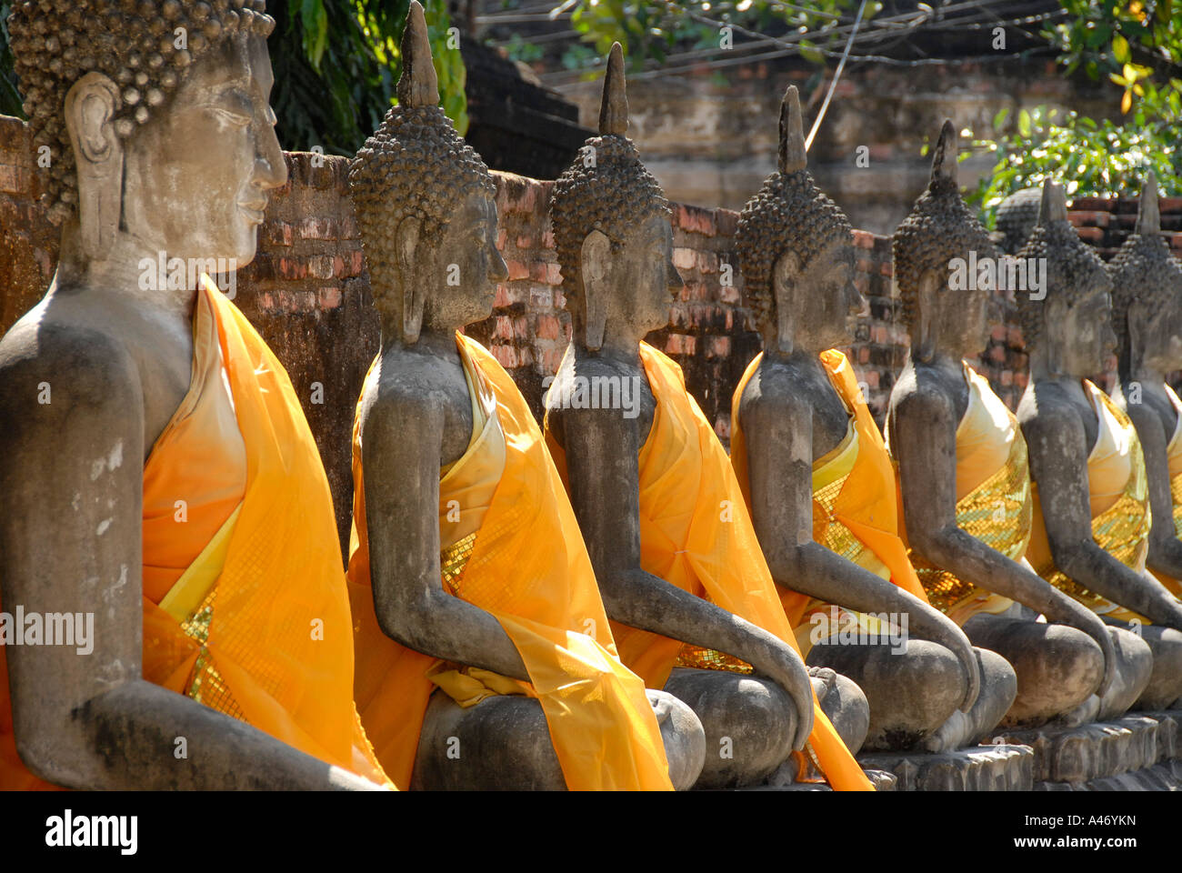 Viele Buddha-Figuren in einer Reihe mit orange Tuch Wat Yai Chai Mongkol Ayutthaya Thailand Stockfoto