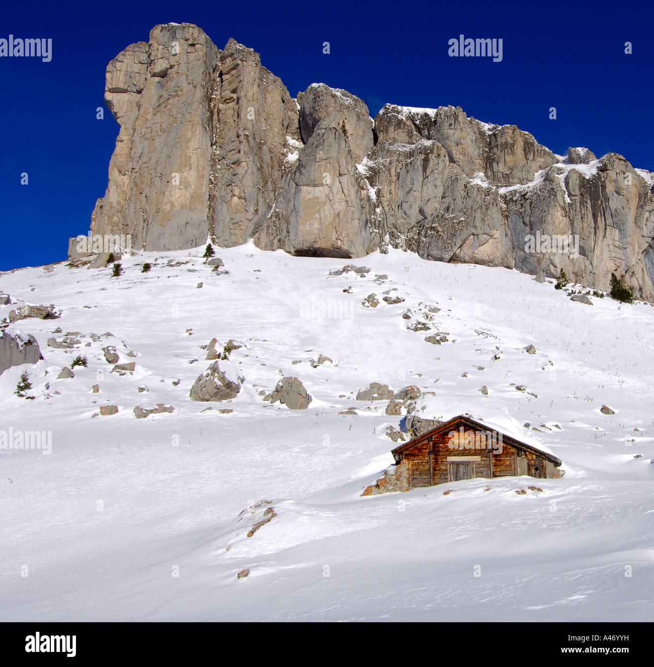 Auf einer alm im Winter peak Tour d'Ai, Schweizer Alpen, Schweiz Stockfoto