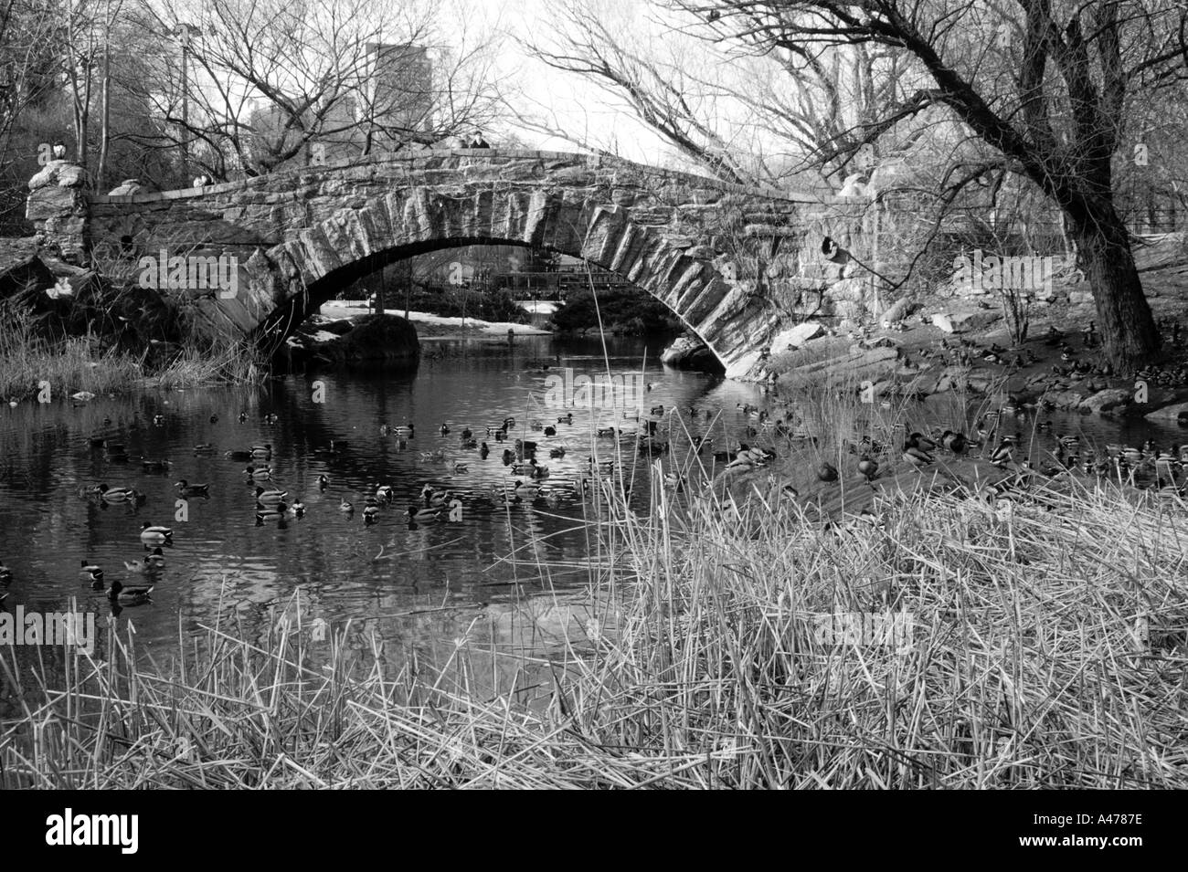 Brücke über 59th Street Teich im Central Park New York City, USA Stockfoto