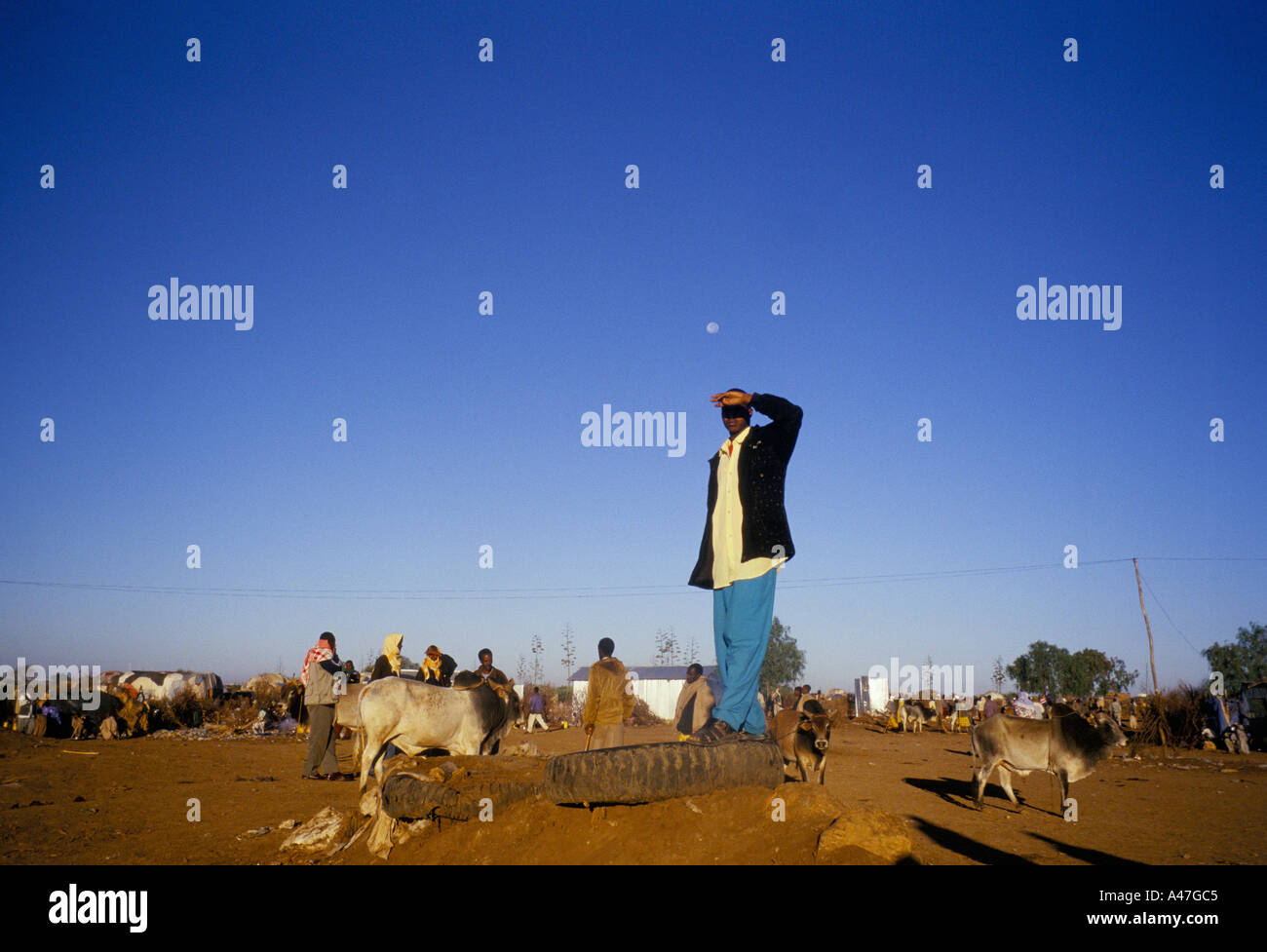 Ein Mann am Viehmarkt auf der äthiopischen Grenze Schilde seine Augen von der Sonne selbst unabhängigen Staat Somaliland erklärt Stockfoto
