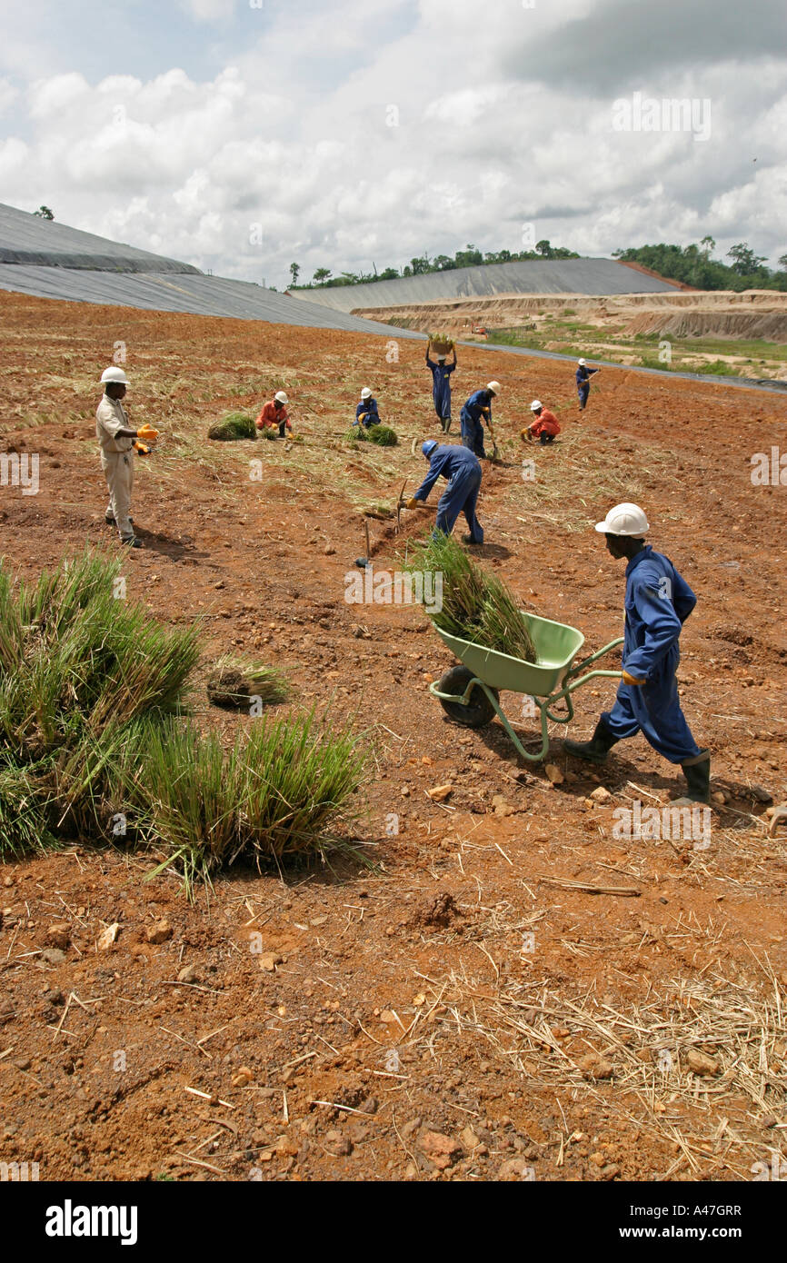 Umwelt-Arbeiter und Feldassistenten Pflanzen Rasen Heap Leach Grube, rehabilitieren Oberfläche Goldmine, Ghana, Westafrika Stockfoto