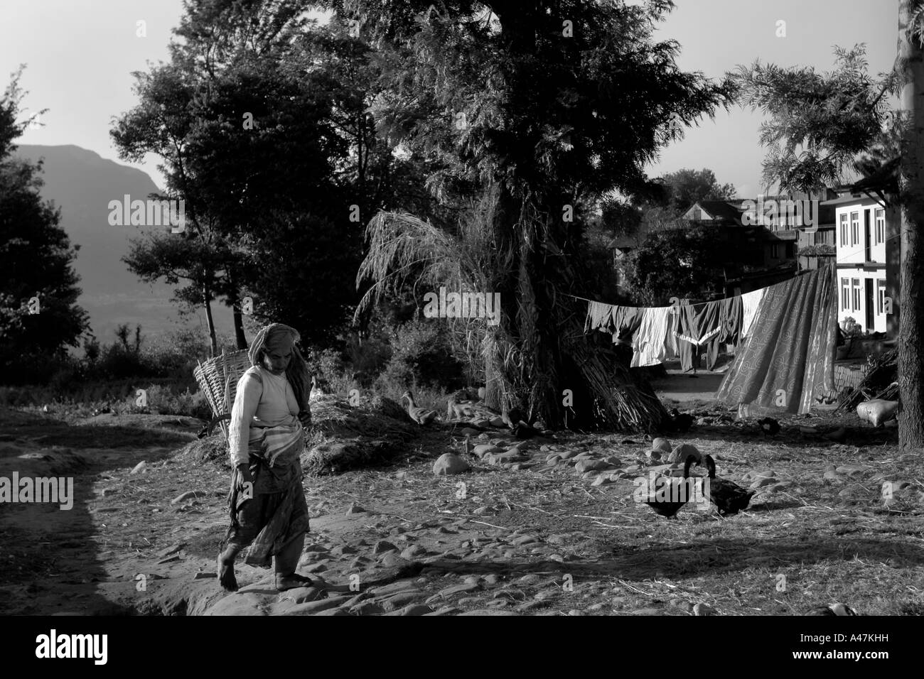 Eine Bäuerin trägt Korn in einem ländlichen Villiage außerhalb von Kathmandu in Nepal Stockfoto