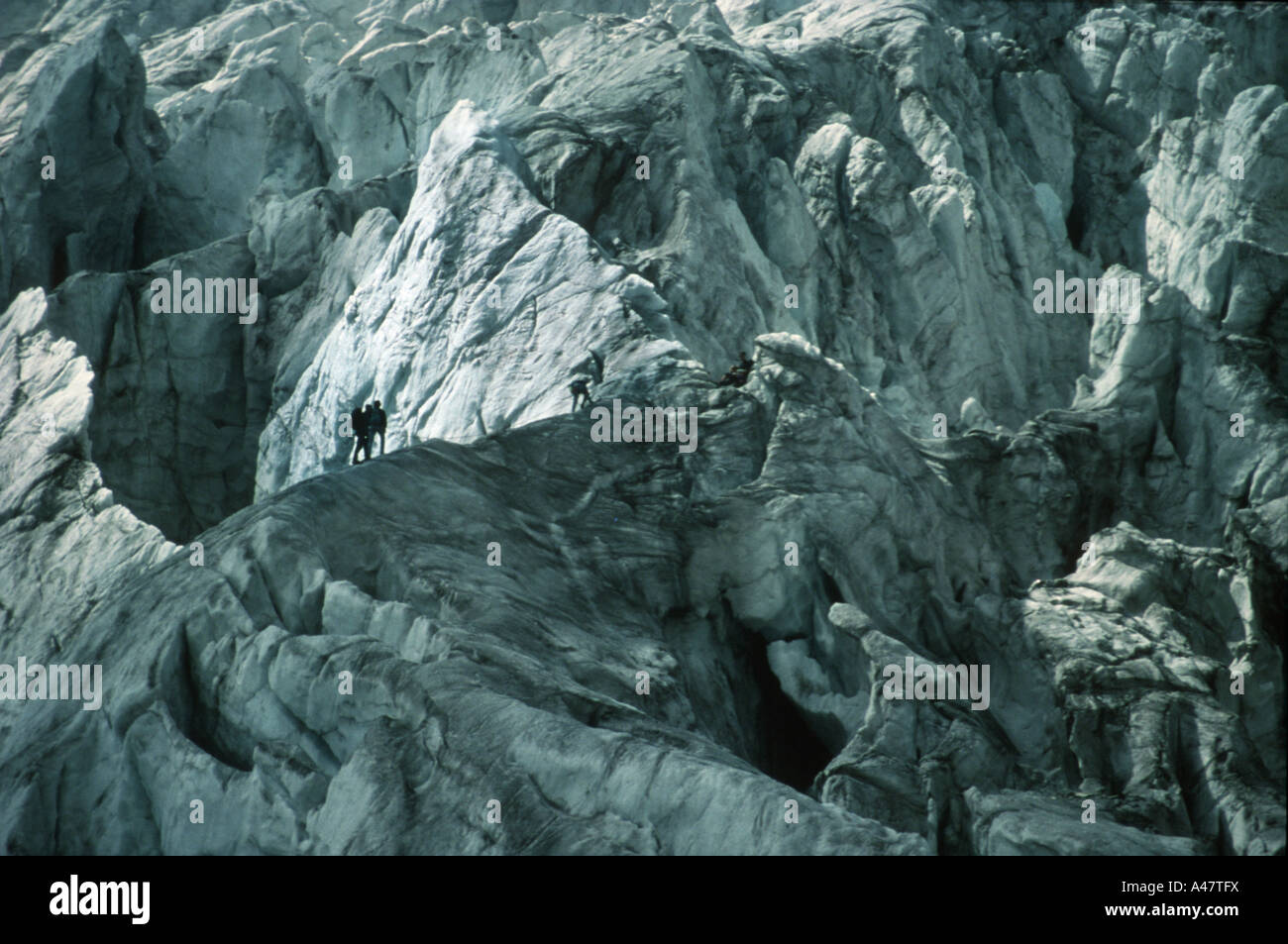 Eine Seilschaft in die Gletscherspalten der Glacier Blanc im französischen Nationalpark Ecrins Stockfoto