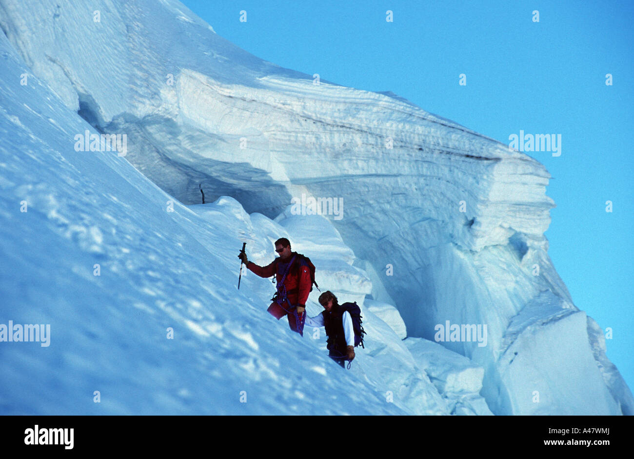 Zwei Kletterer in Gletscher Landschaft hoch auf Mont Blanc du Tacul Chamonix Frankreich Stockfoto