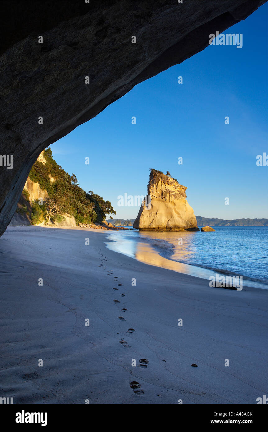 Fußspuren im Sand am einsamen Strand von Cathedral Cove im Morgengrauen nr Hahei Coromandel Halbinsel North Island Neuseeland NR Stockfoto