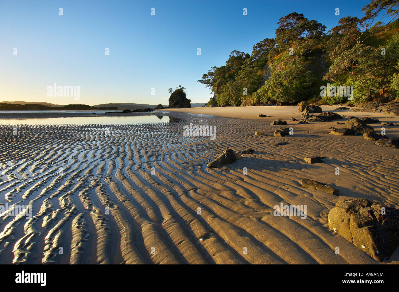 Wellen in den Sand zu Opera Punkt Whangapoua Hafen Coromandel Halbinsel North Island Neuseeland NR Stockfoto