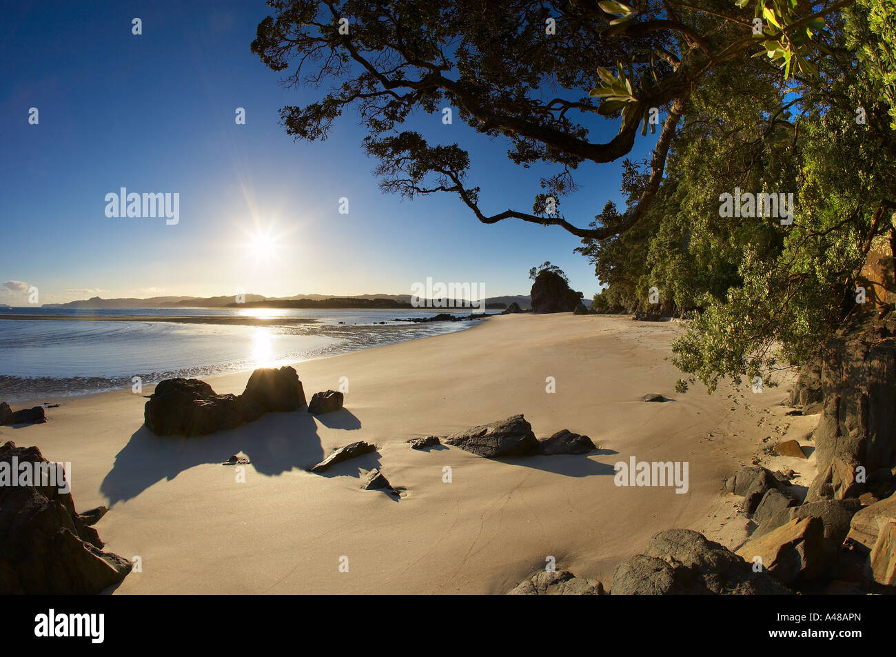 menschenleeren Strand von Opera Punkt Whangapoua Hafen Coromandel Halbinsel North Island Neuseeland NR Stockfoto
