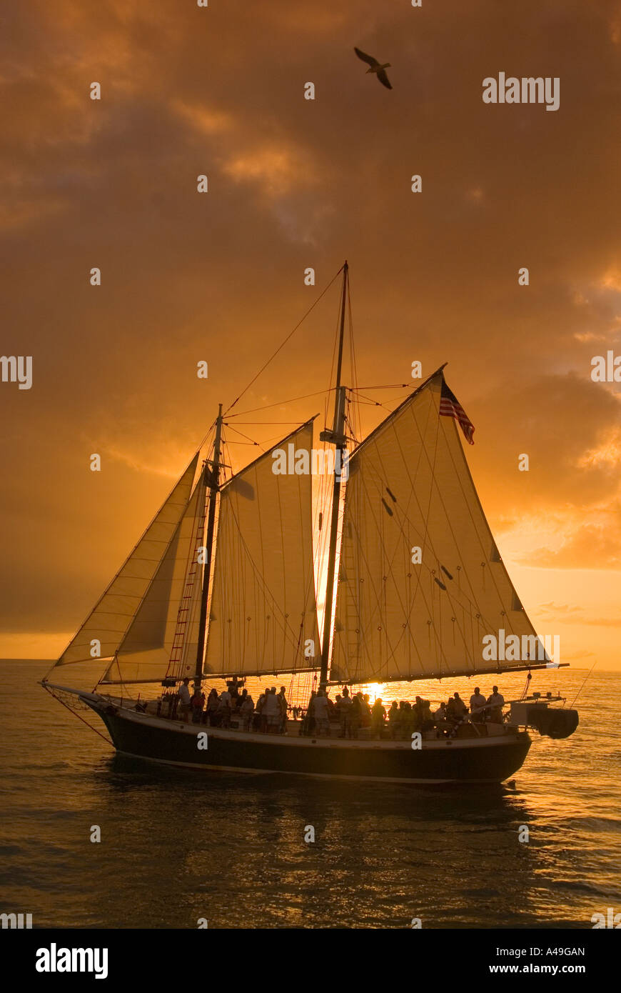 Key West, Florida hohen Segelschiff auf dem Sunset cruise aus Key West Stockfoto
