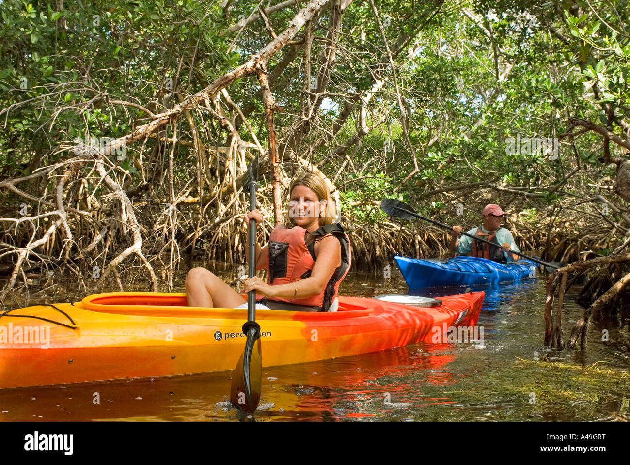 USA Florida Keys Kayaking in den Mangroven mit Big Pine Kajak Abenteuer Big Pine Fl Stockfoto