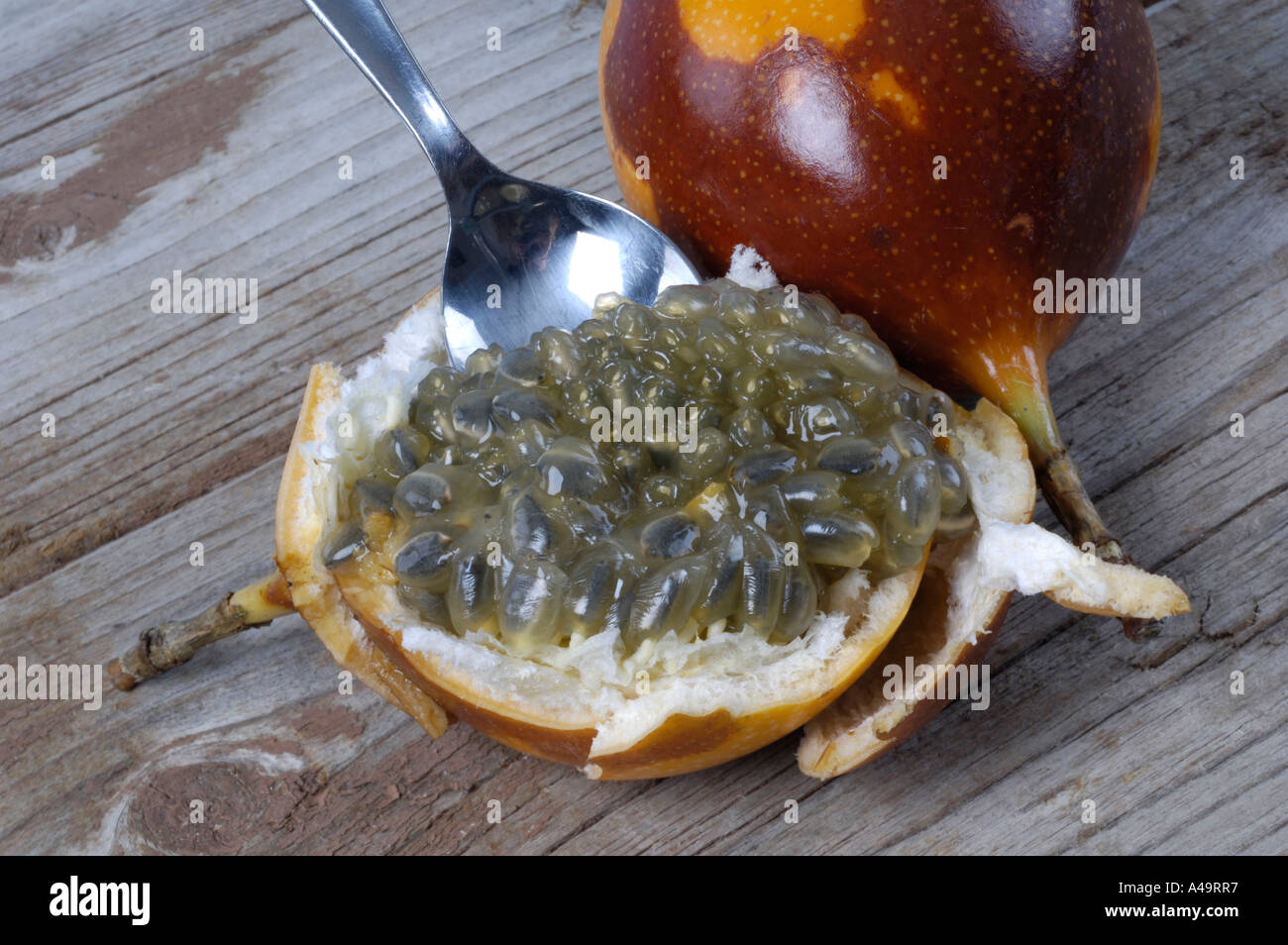 Süße Granadilla / gelbe Passionsfrucht Stockfoto