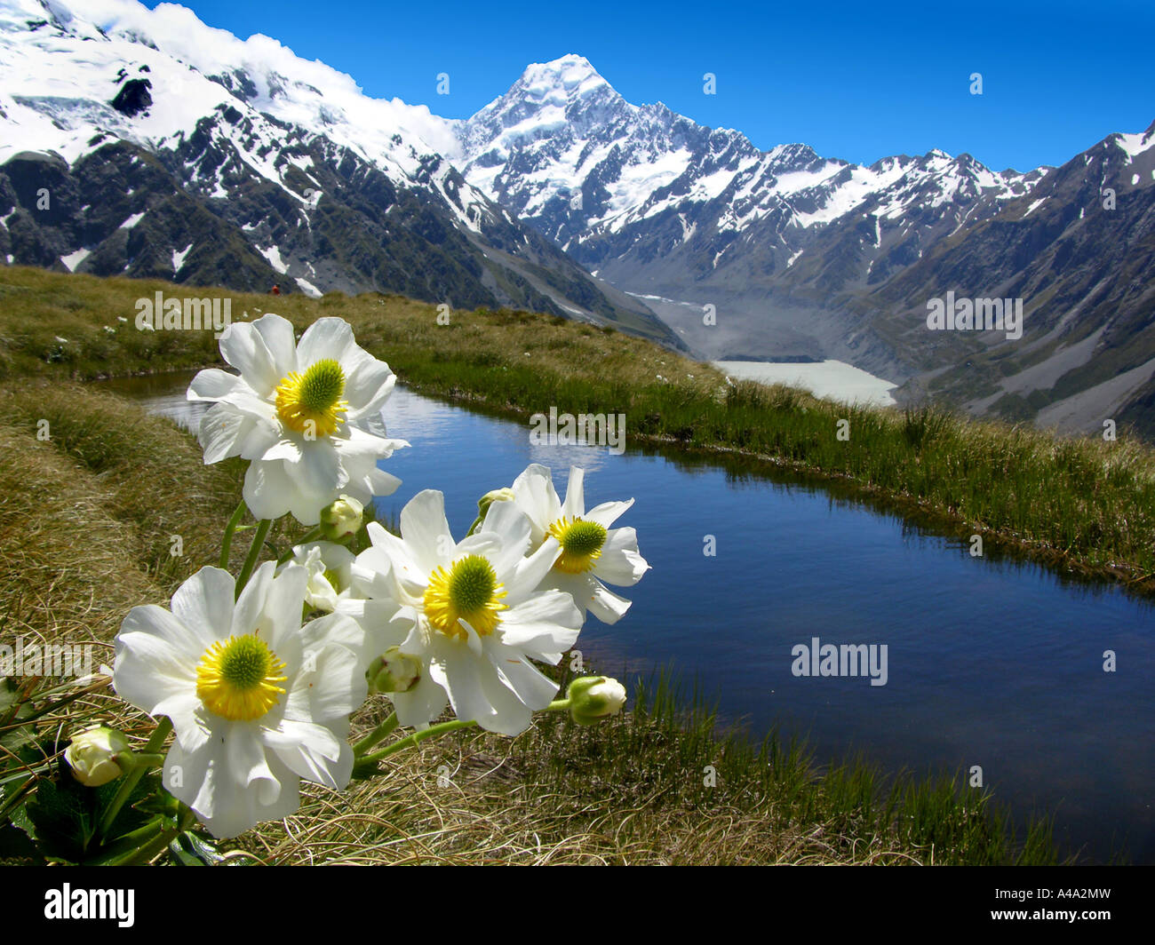 Berglandschaft von Mt. Cook Nationalpark in Neuseeland Stockfoto