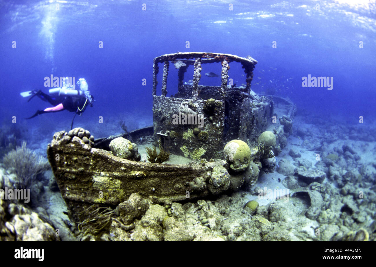Wrack in der Karibik Stockfoto