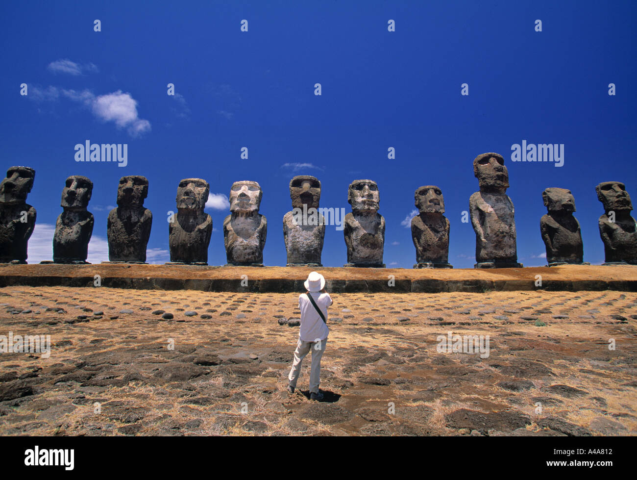 Moais, Ahu Tongariki, Osterinsel, Chile Stockfoto