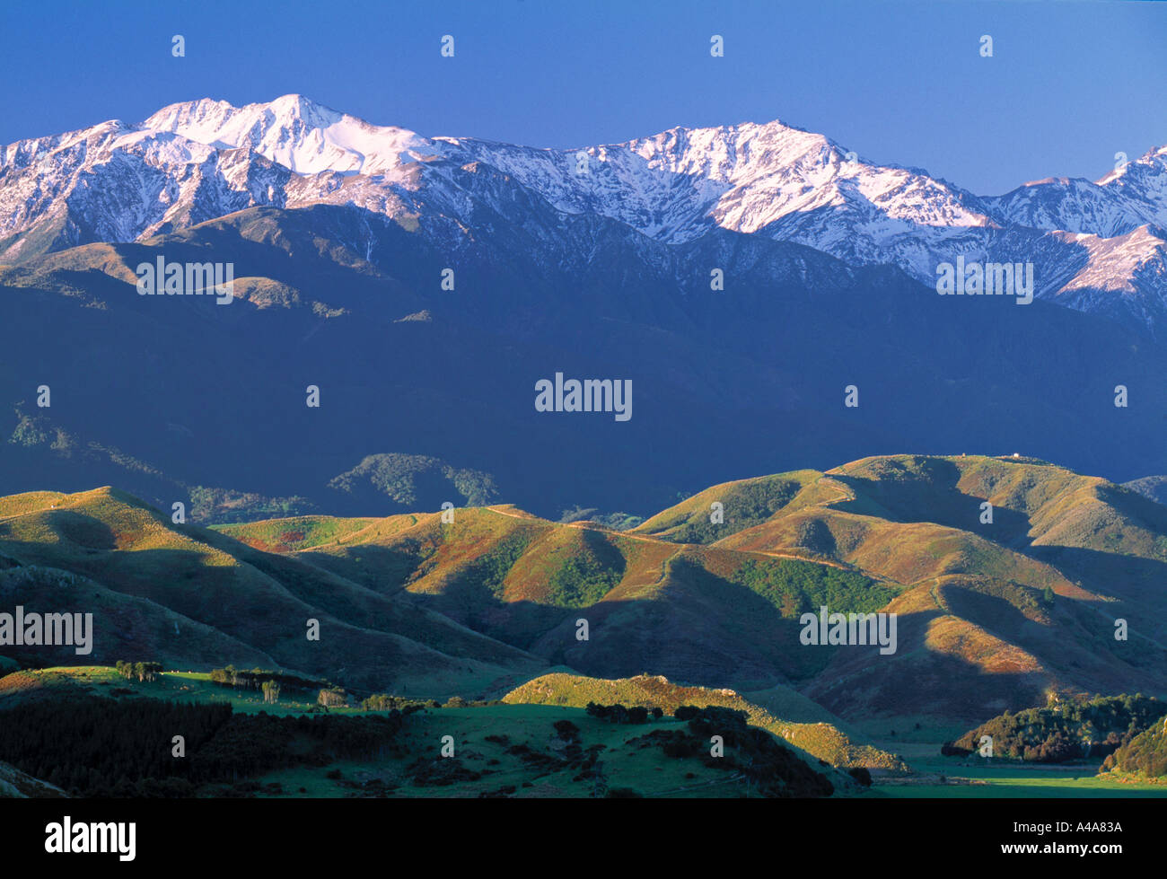 Kaikoura Range, Südinsel, Neuseeland Stockfoto