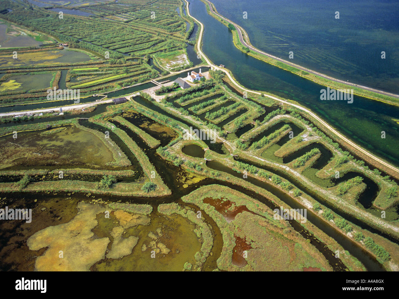 Venier Tal und Casone Venier Rosolina Veneto Italien Stockfoto
