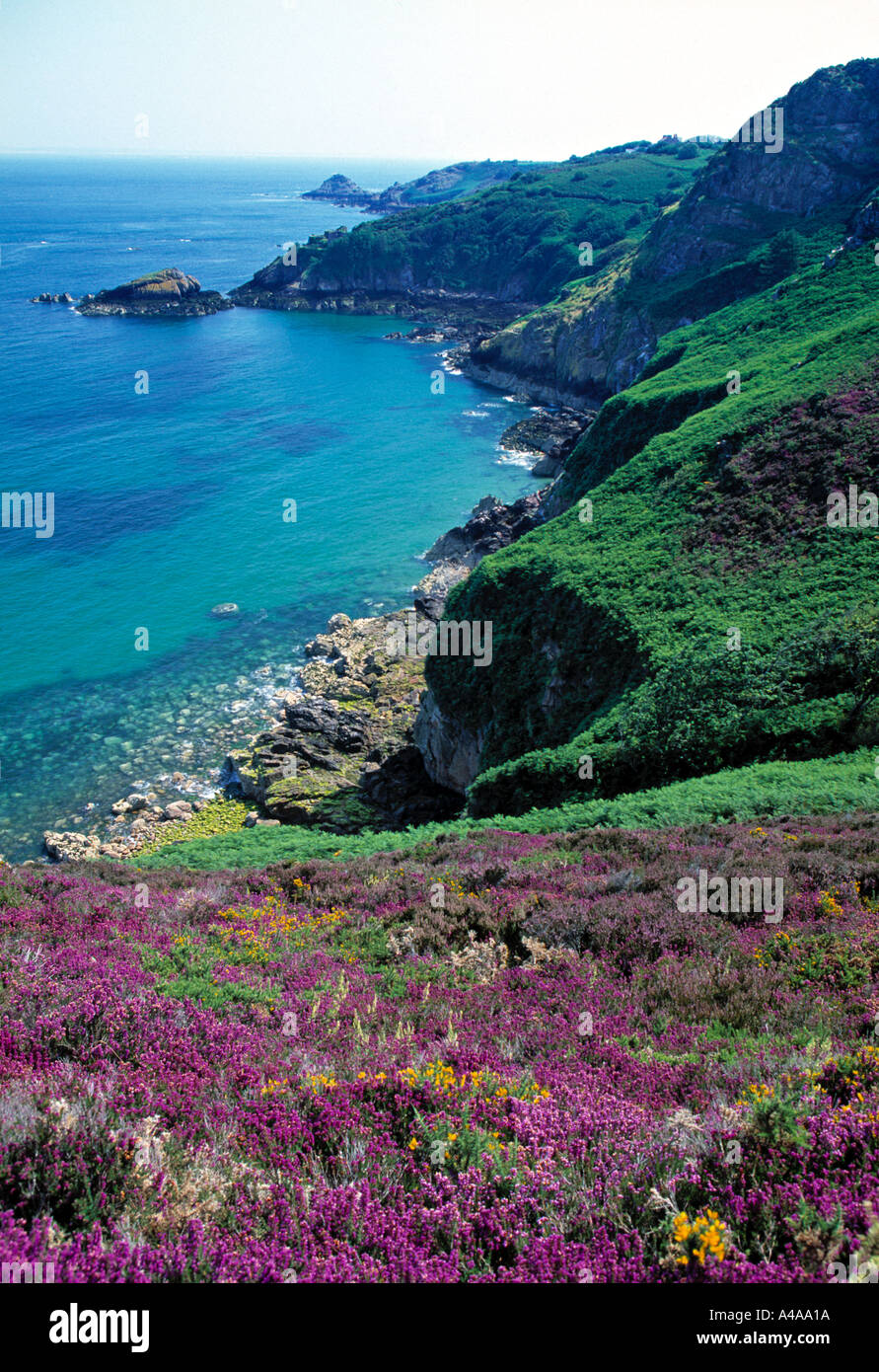 Jardin Olivet von Bouley Bay, Jersey, Großbritannien Stockfoto