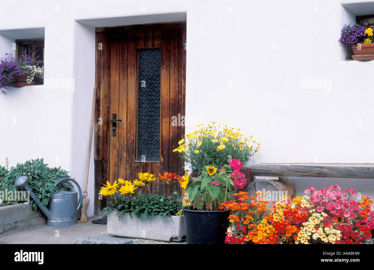Topf mit Blumen am Eingang eines Hauses Stockfoto
