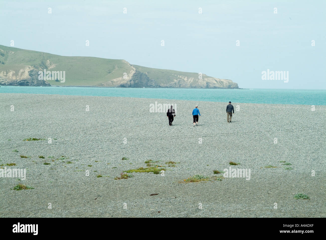 Eine Frau und zwei Männer an einem einsamen Strand steinig Stockfoto